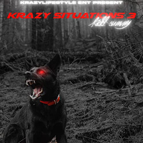 Krazy Situations 3 [Explicit]